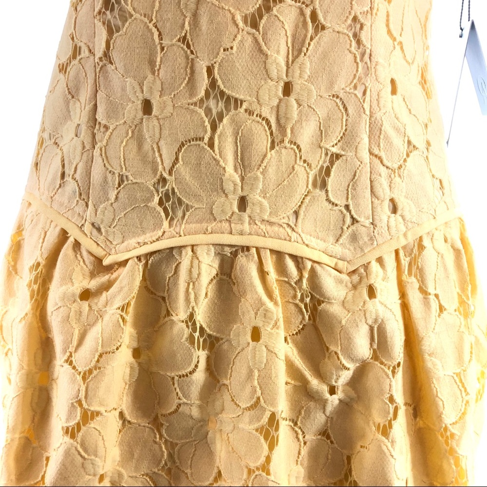 Adriana Papell  Lace Drop Waist Dress New! - Picture 4 of 5